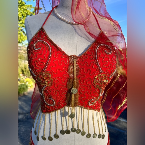 Belly Dance Costume new hand made Bra, trousers, 2 arm sleeves, hat& crop top - Picture 2 of 16